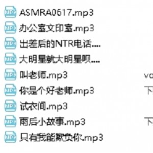 音声合集温柔年上jok，552.34m，百度盘下载