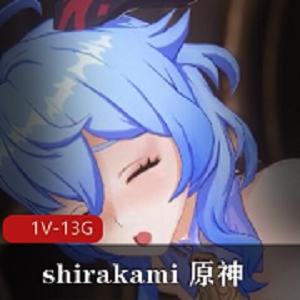 Shirakami作品合集：4K画质，60FPS，原神崩坏三姐姐角色，24分20秒时长，下载资源