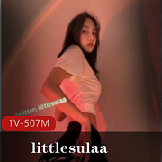 littlesulaa：一线系列颜值身材，反差婊玩法，花里胡哨视频507MB百度云下载