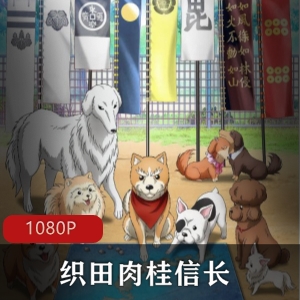 织田肉桂信长：日本动漫高清中字版珍藏推荐
