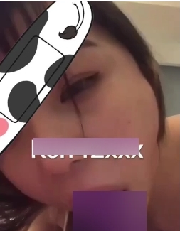 大学生教育母犬KEN