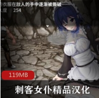 安卓RPG手游《刺客女仆》