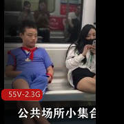 公共场所小集合+[55V-2.3G]