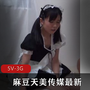 国内知名影视制作公司（麻瓜豆传媒，天美传媒）最新11月23日更新作品