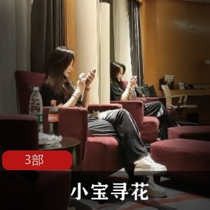 国精产品《小宝寻花》两天三回合总计3部！