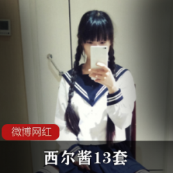 精选西尔酱13套