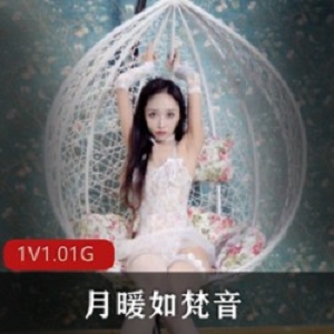 精选微博超美女神(月暖如梵音）年度社保作品