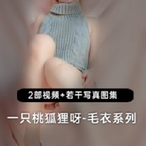 精选一只桃狐狸呀_灰色毛衣系列！