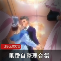 精选里番超级大礼包38G大礼包