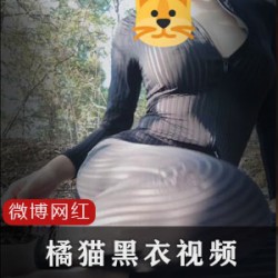 精选橘猫黑条纹衣两部