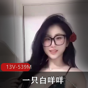 快手粉主播定制舞一只白咩咩最新合集13V539M，车灯舞蹈精彩不断