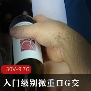 P站MsFine微口味重G交洋马入门级合集30V9.7G,收藏必备