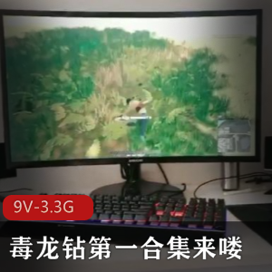 P站独龙钻极限挑战合集3.3G9V动作太野