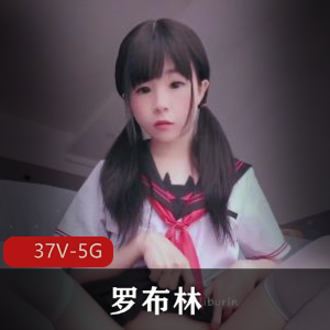 罗布林rindiary雌堕合集37V5G女装大佬珍藏版