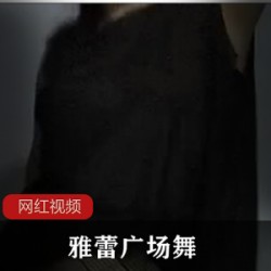 雅蕾广场舞65部合集韵味十足30G