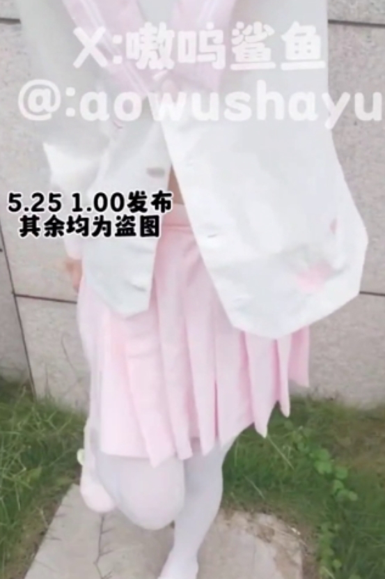 猫爪嗷呜鲨鱼户外特辑51v710m珍藏版