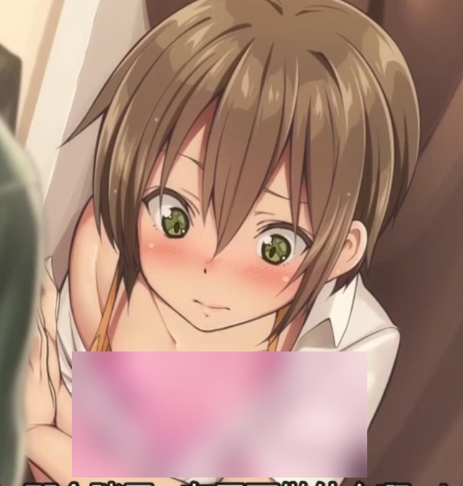 P站メス堕ち伪娘动画合集4部1.37G社保画质