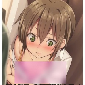 P站メス堕ち伪娘动画合集4部1.37G社保画质
