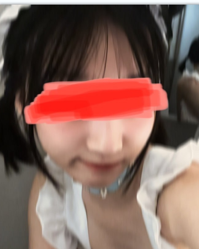 推特李露劲爆私密视频合集29部694M珍藏版